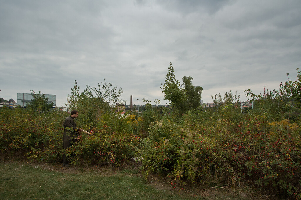 Video still