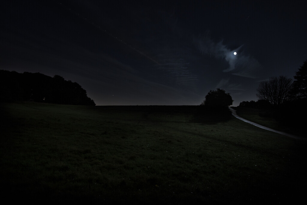 Untitled (Saxon Ditch, Hampstead Heath)