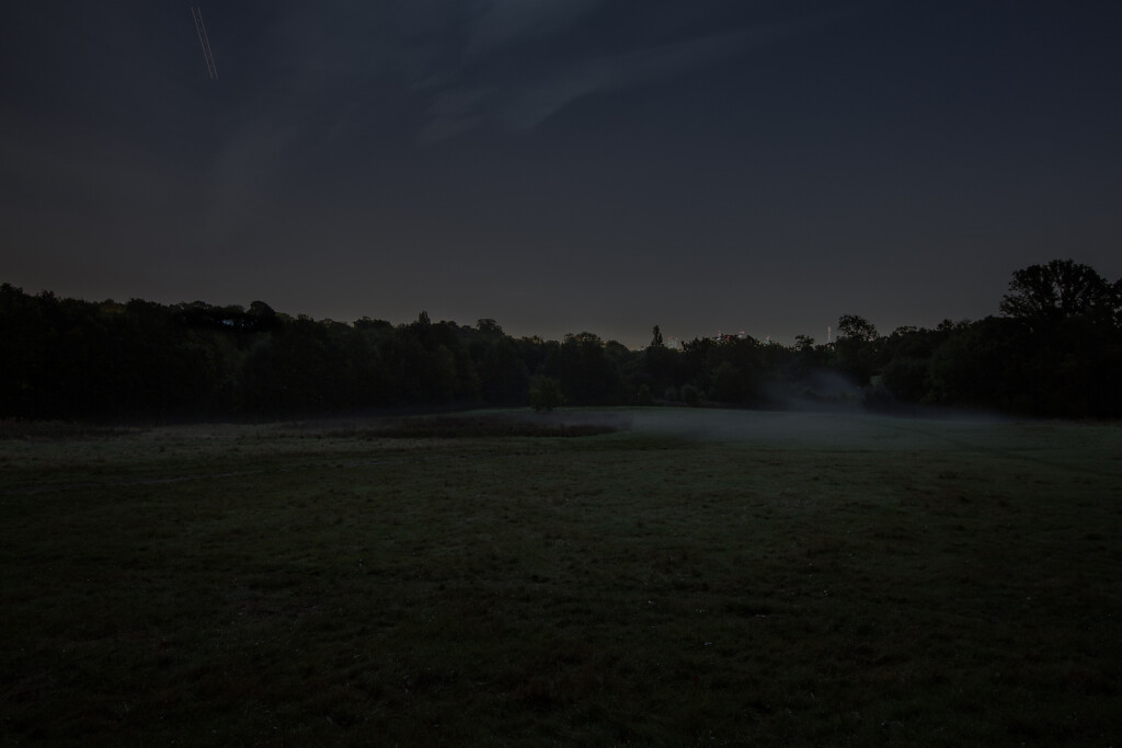 Untitled (South Meadow, Hampstead Heath)